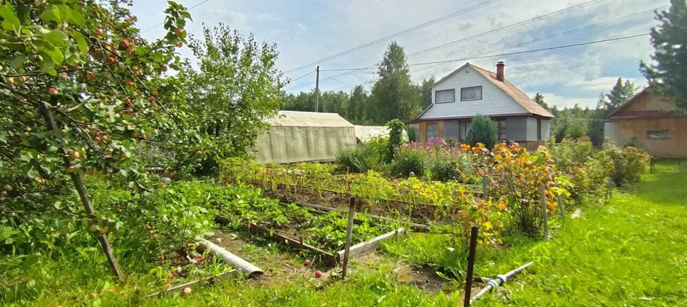 Екатеринбург, тер. СНТ. Хрустальный, уч. 7 - фото сада (2)