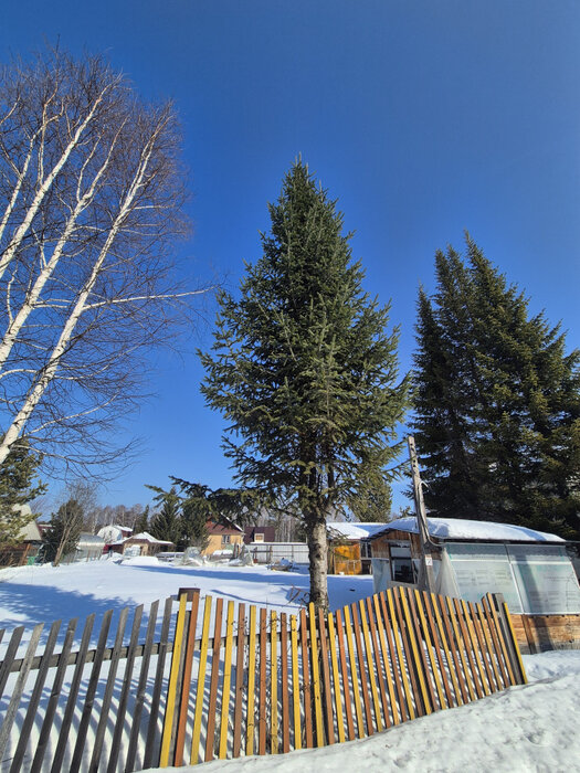 Екатеринбург, ул. Зеленый бор (Горный щит) - фото земельного участка (1)