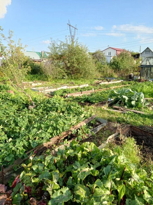 Екатеринбург, Змеиная горка, уч. 171 (Птицефабрика) - фото сада (1)