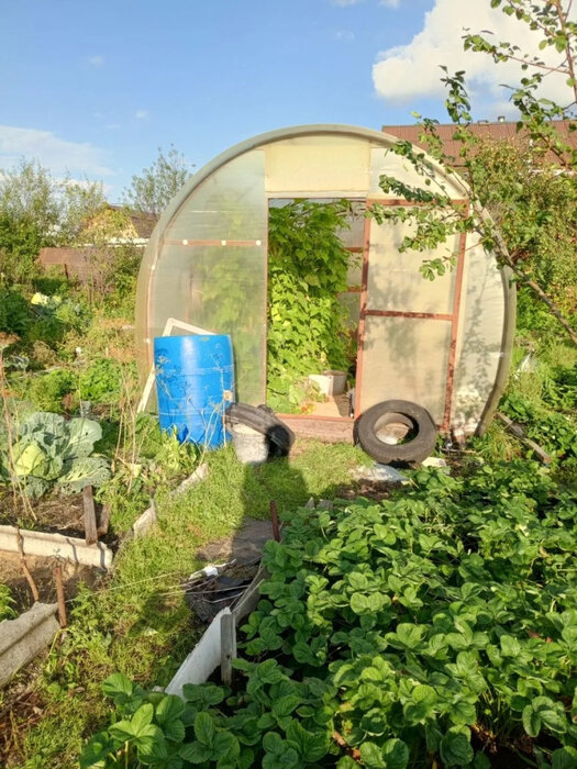 Екатеринбург, Змеиная горка, уч. 171 (Птицефабрика) - фото сада (4)