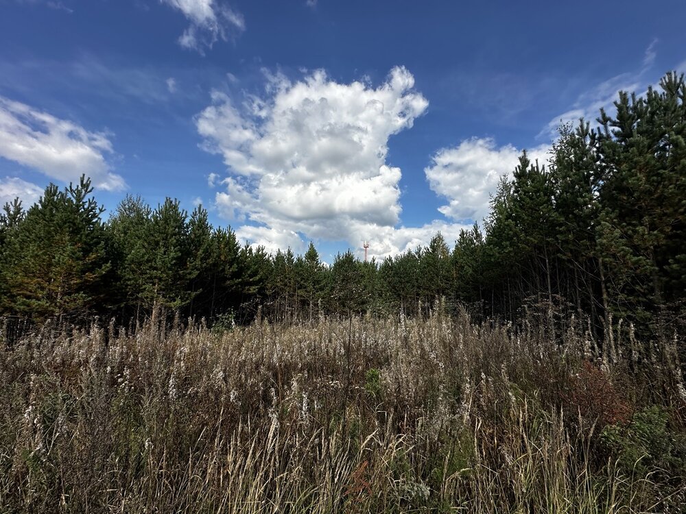 п. Хризолитовый, ул. Ягодная, 6 (городской округ Белоярский) - фото земельного участка (3)