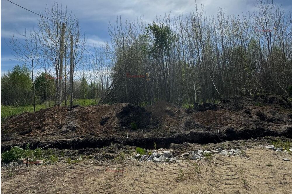 г. Березовский, ул. Бирюзовая, 31 (городской округ Березовский) - фото земельного участка (4)