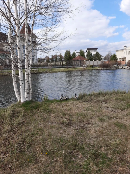 Екатеринбург, ул. Верхнемакаровская, 351 (Широкая речка) - фото земельного участка (3)