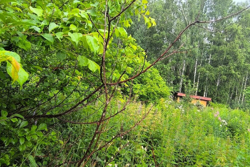 п. Канал, к/с  КС Аметист (городской округ Первоуральск) - фото сада (3)