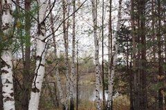 с. Николо-Павловское, ул. Сорокина гора (городской округ Горноуральский) - фото земельного участка