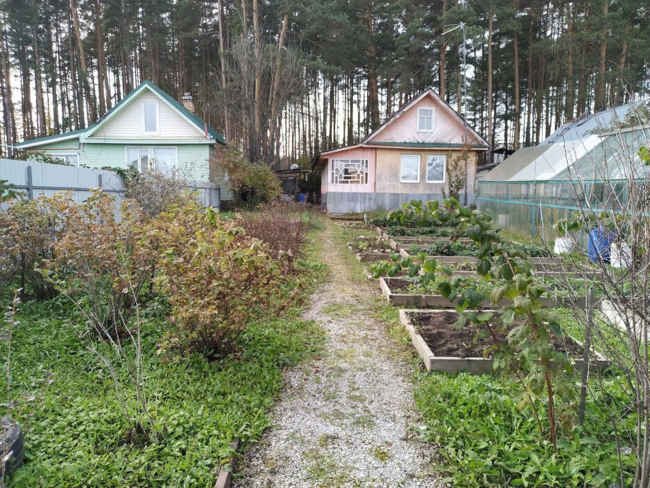 г. Березовский, сад № 37 (городской округ Березовский) - фото сада (2)