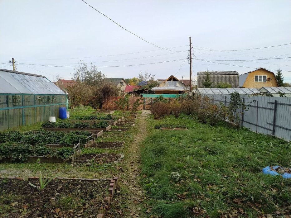 г. Березовский, сад № 37 (городской округ Березовский) - фото сада (3)