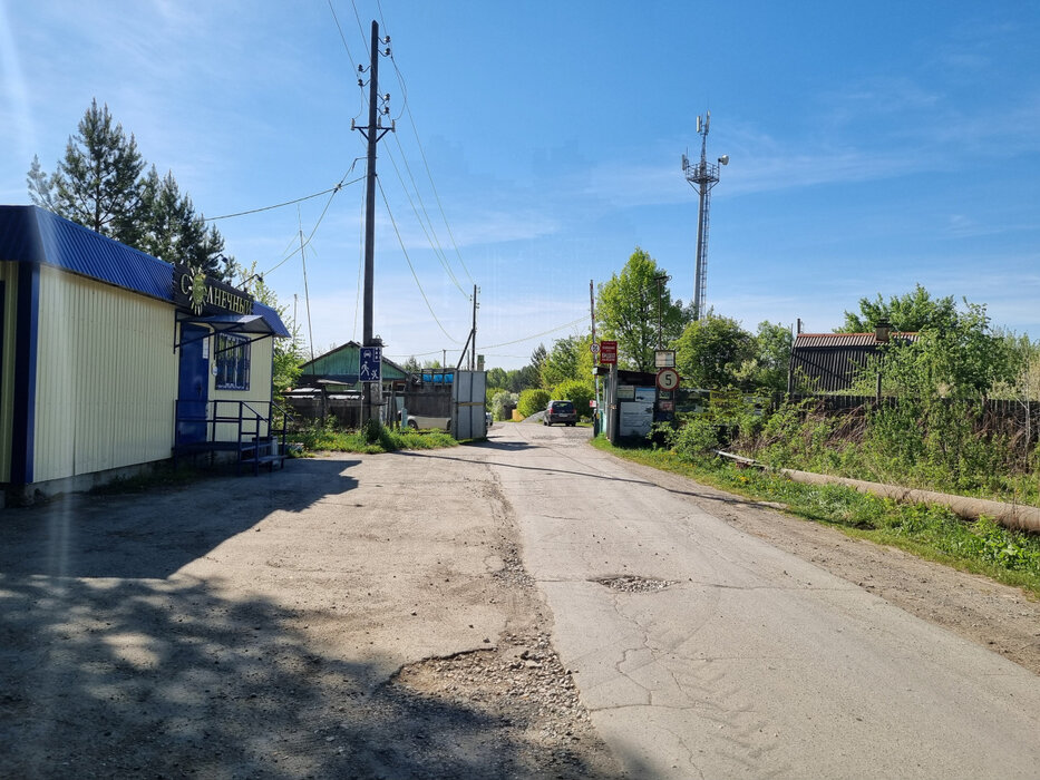 г. Невьянск, СНТ Лесные дачи, ул. СНТ Лесные дачи (городской округ Невьянский) - фото сада (15)