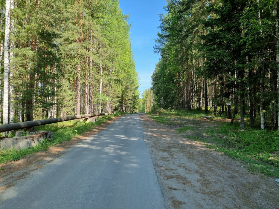 г. Невьянск, СНТ Лесные дачи, ул. СНТ Лесные дачи (городской округ Невьянский) - фото сада (16)