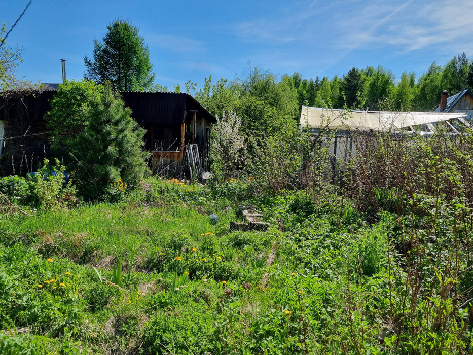 г. Невьянск, СНТ Лесные дачи, ул. СНТ Лесные дачи (городской округ Невьянский) - фото сада (9)