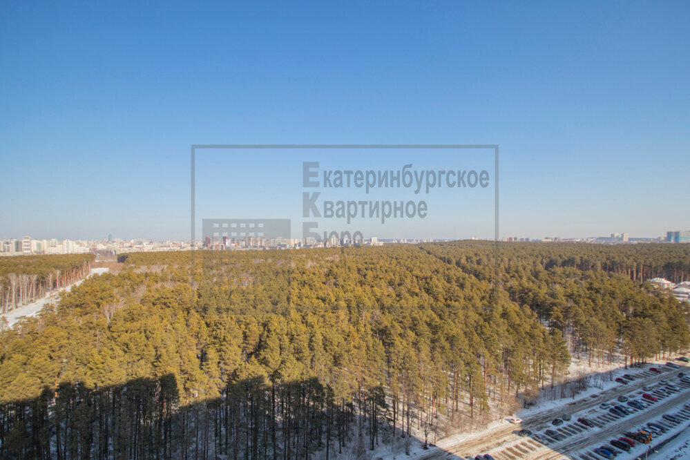 Екатеринбург, ул. Чкалова, 231 (УНЦ) - фото квартиры (8)