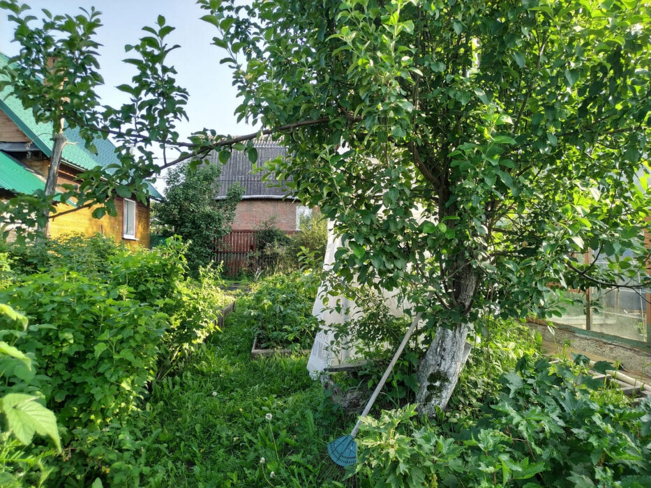 г. Березовский, № 36, ул. Тихая, 84 (городской округ Березовский) - фото сада (12)