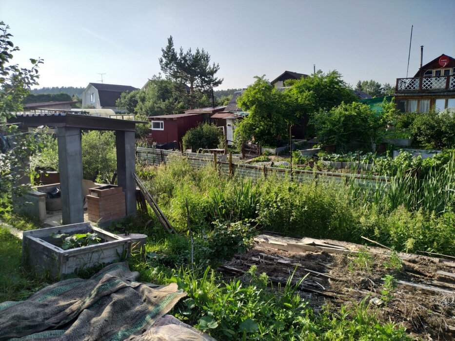 г. Березовский, № 36, ул. Тихая, 84 (городской округ Березовский) - фото сада (9)