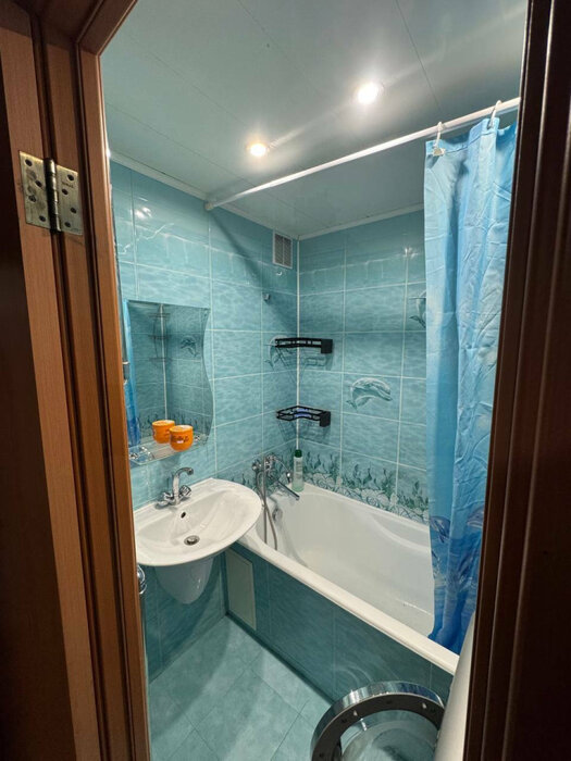 Екатеринбург, ул. Московская (Юго-Западный) - фото квартиры (8)