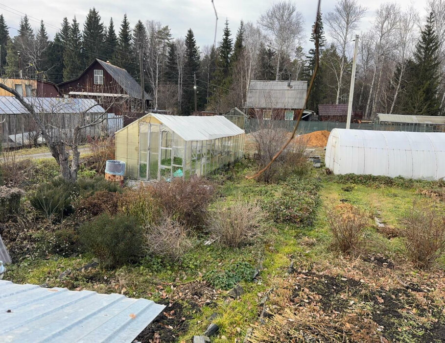 п. Гать, СНТ Гать-7, (городской округ Верхняя Пышма) - фото сада (4)