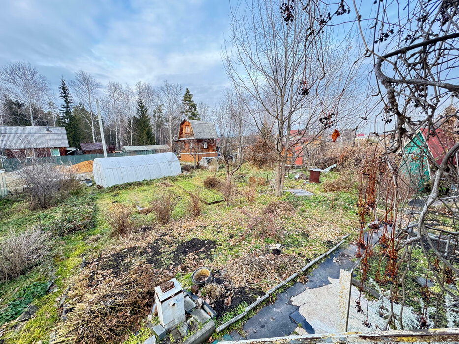 п. Гать, СНТ Гать-7, (городской округ Верхняя Пышма) - фото сада (5)