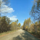 д. Невьянка, СНТ Коллективный сад № 10 Южный (городской округ Невьянский) - фото сада (2)