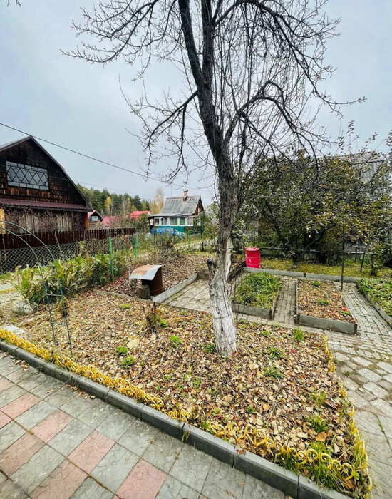 Екатеринбург, коллективный сад Берёзка, уч. 70 (Медный) - фото сада (8)