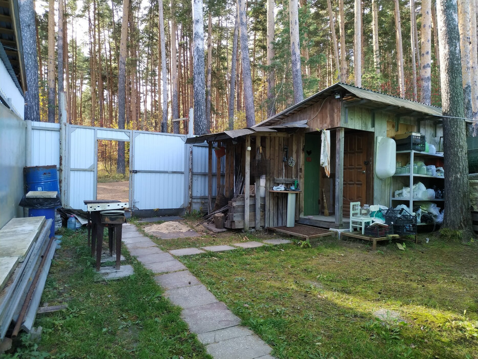 г. Березовский, к/с  № 43 Ягодка (городской округ Березовский) - фото сада (5)