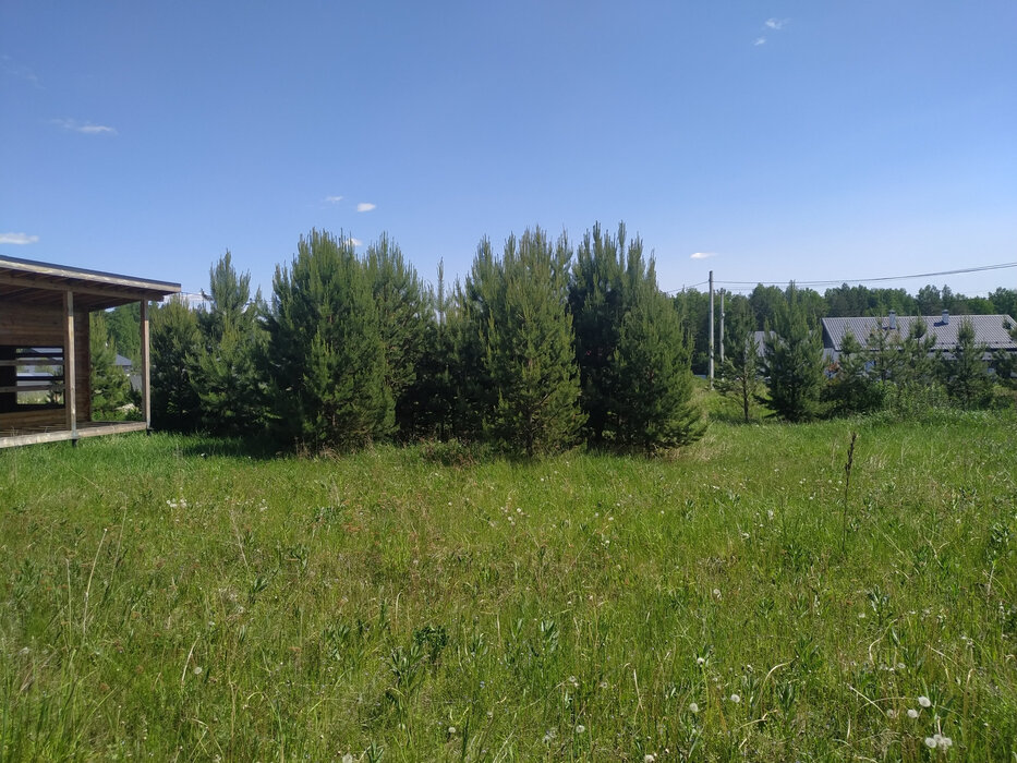 п. Становая, ул. Станица (городской округ Березовский) - фото земельного участка (16)