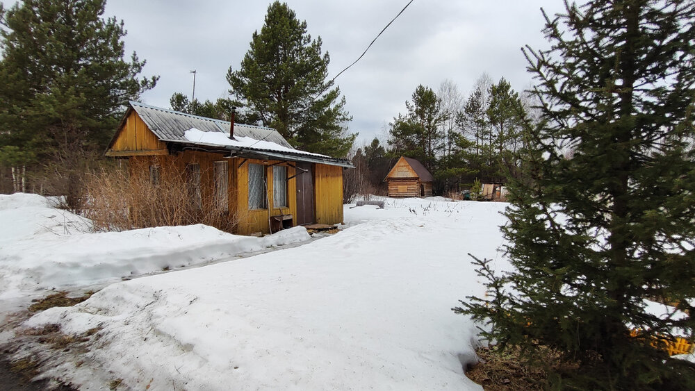 с. Курганово, СНТ Родники, ул. Родниковая (городской округ Полевской) - фото сада (4)