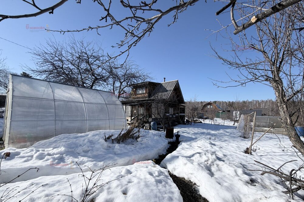 п. Кедровка, Коллективный сад №13 «Кедр», уч. 110 (городской округ Березовский) - фото сада (2)
