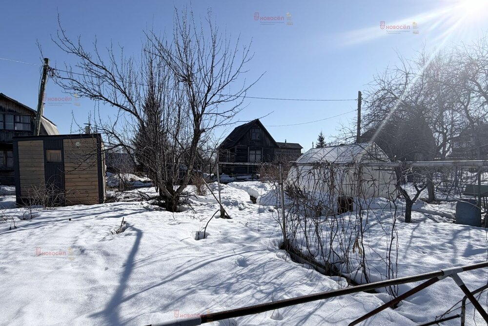 п. Кедровка, Коллективный сад №13 «Кедр», уч. 110 (городской округ Березовский) - фото сада (4)