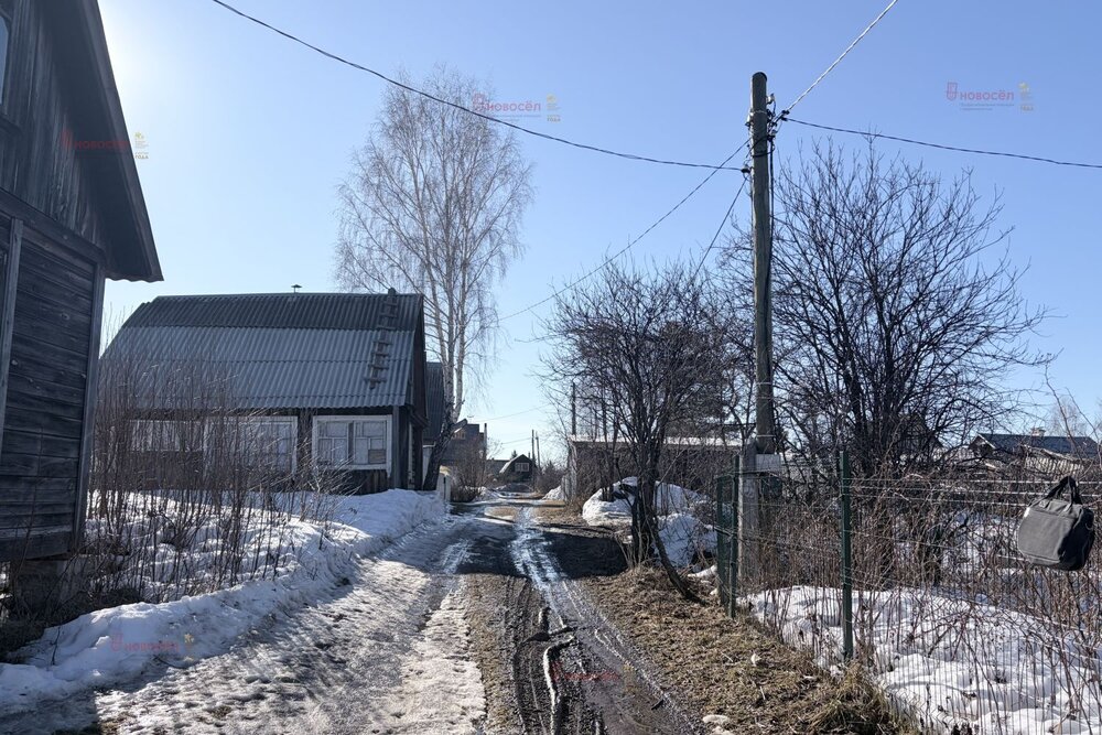 п. Кедровка, Коллективный сад №13 «Кедр», уч. 110 (городской округ Березовский) - фото сада (6)