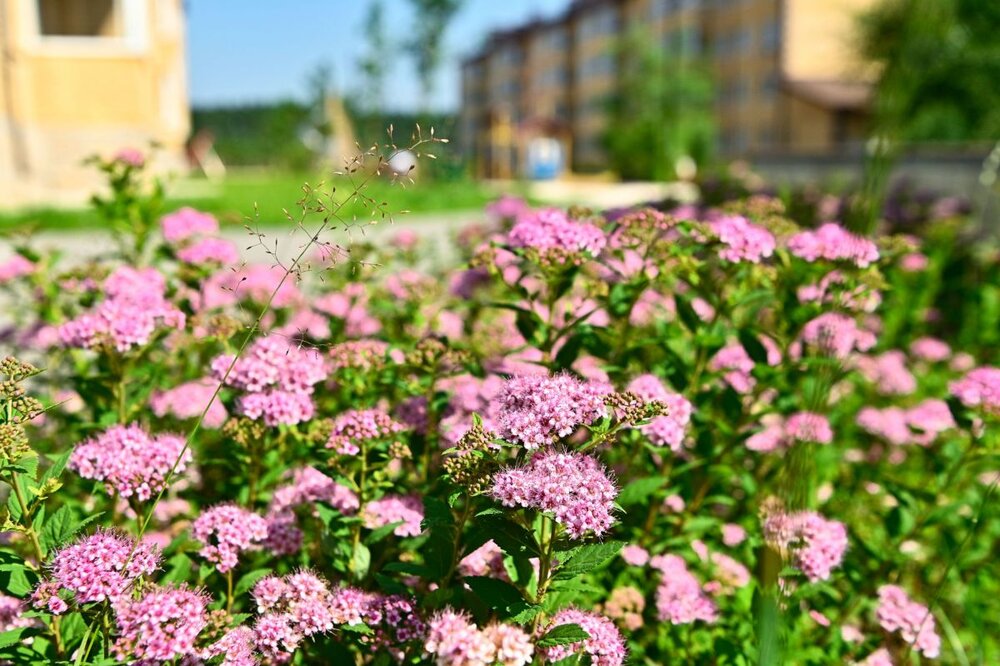 г. Березовский, ул. Победы, 39, ЖК 