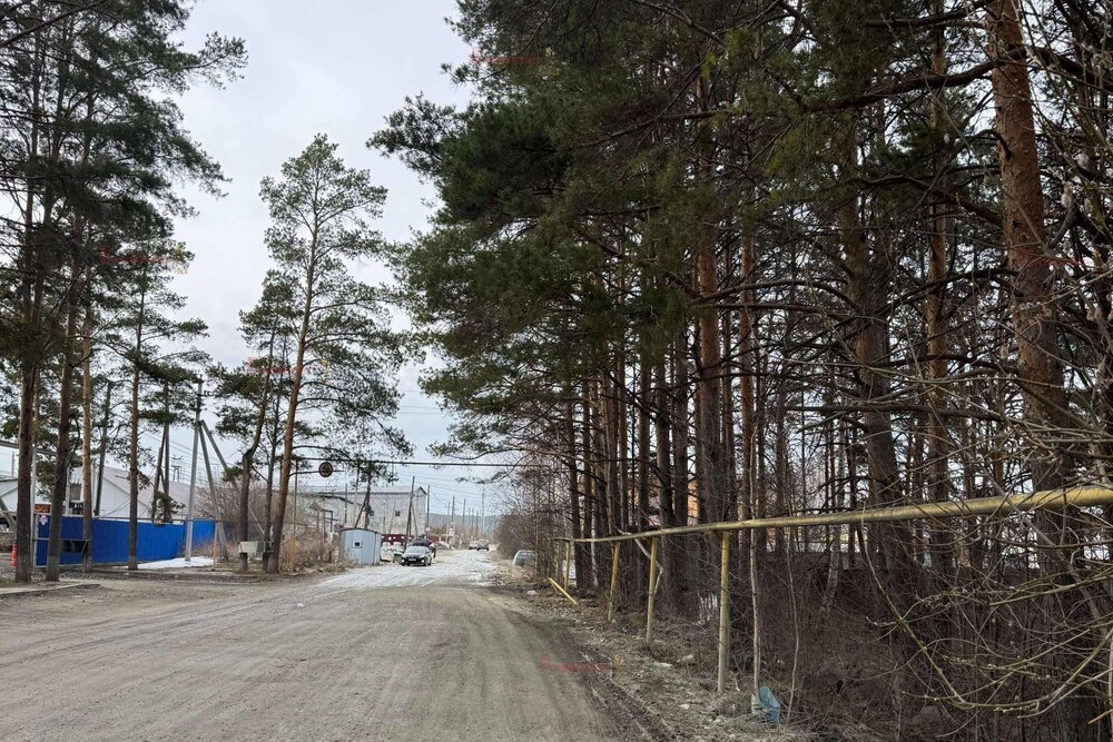 п. Большой Исток, ул. Ленина, 172/2 (городской округ Сысертский) - фото земельного участка (2)