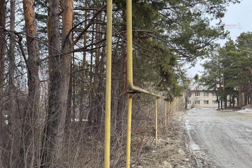 п. Большой Исток, ул. Ленина, 172/2 (городской округ Сысертский) - фото земельного участка (4)