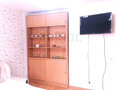 Продажа квартиры: Екатеринбург, ул. Громова, 132 (Юго-Западный) - Фото 5