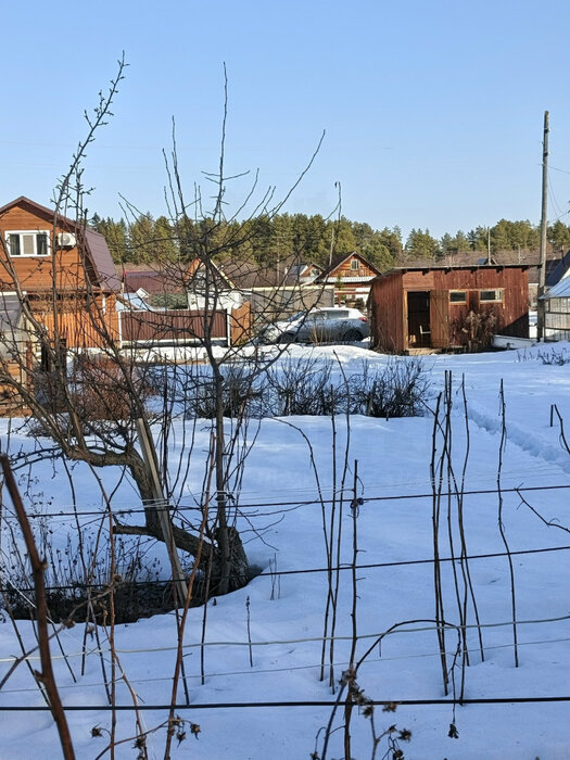 пгт. Билимбай, садоводческое товарищество № 63 (городской округ Первоуральск) - фото сада (7)