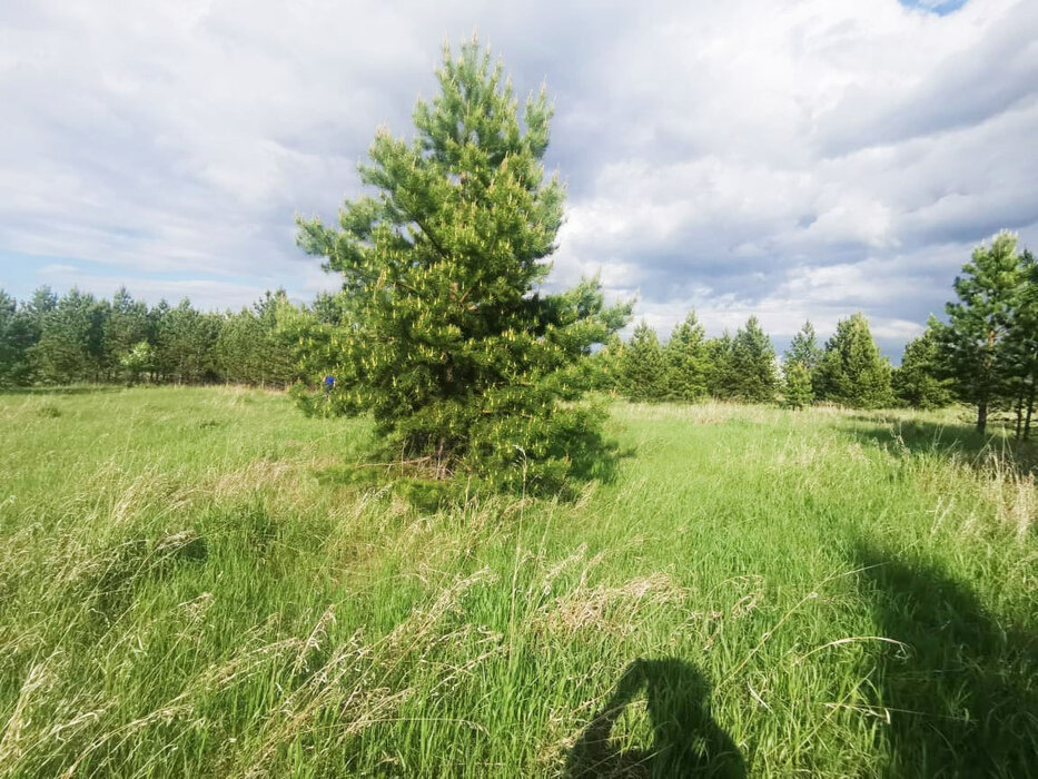 с. Исетское, ул. Цветочная, 12 (городской округ Каменский) - фото земельного участка (1)