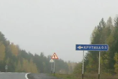 д. Крутиха, ул. Дачная, 4б (городской округ Режевской) - фото земельного участка