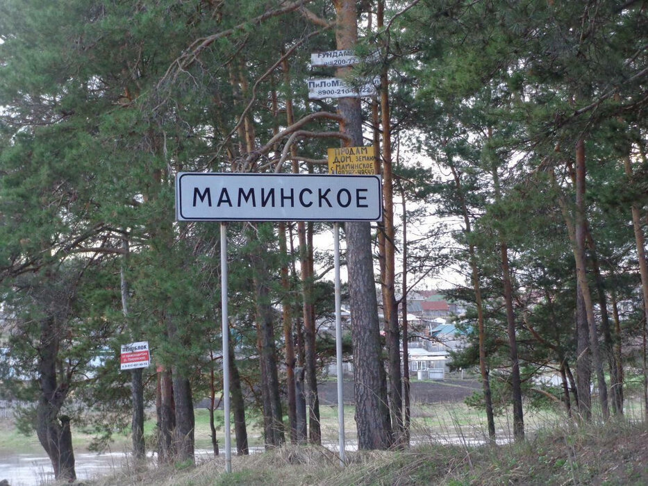 с. Маминское, ул. Полевая (городской округ Город Каменск-Уральский) - фото земельного участка (1)