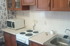 Екатеринбург, ул. Саввы Белых, 16 (Автовокзал) - фото квартиры