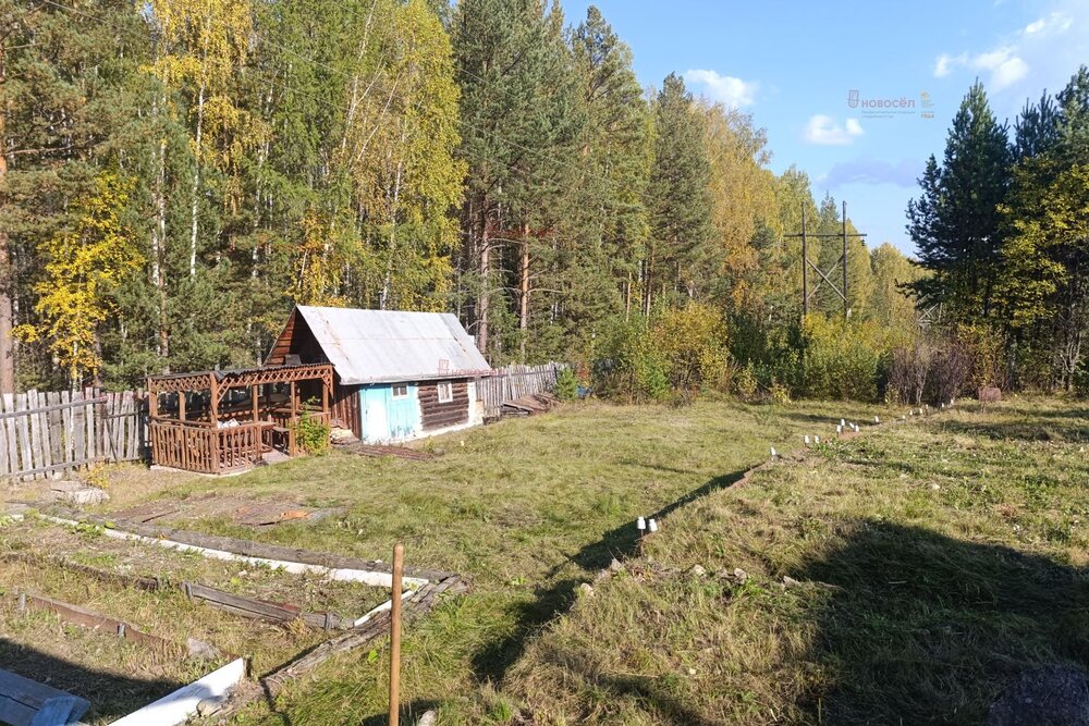 п. Аять, СНТ Надежда (городской округ Невьянский) - фото сада (4)