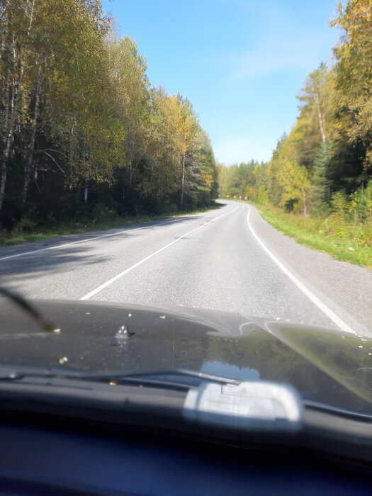 п. Шаля, ул. Урицкого,   (городской округ Шалинский) - фото дома (1)