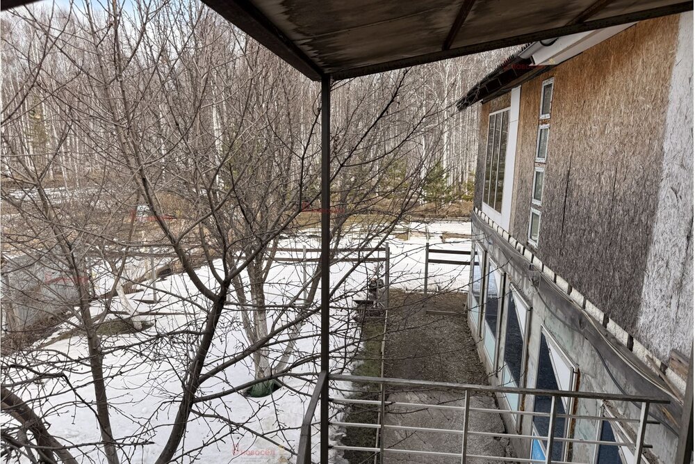 Екатеринбург, СТ Янтарь - фото сада (4)