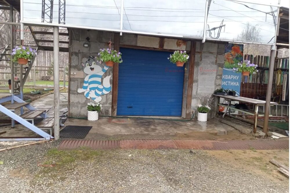 Екатеринбург, СТ Янтарь - фото сада (6)