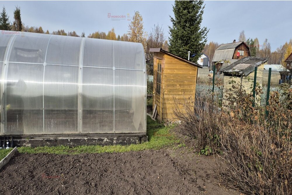 п. Красногвардейский (г.о. Березовский), СПО №99, уч. 99 (городской округ Березовский) - фото сада (2)