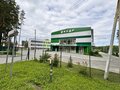 Продажа земельного участка: п. Кедровое, ул. Заповедная, 7 (городской округ Верхняя Пышма) - Фото 2