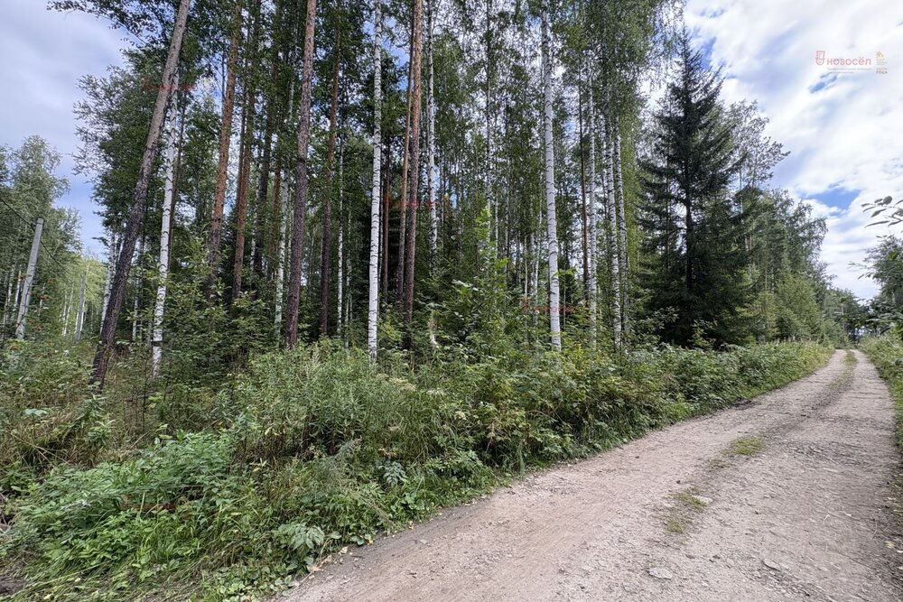 п. Кедровое, ул. Заповедная, 7 (городской округ Верхняя Пышма) - фото земельного участка (3)