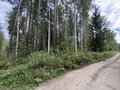 Продажа земельного участка: п. Кедровое, ул. Заповедная, 7 (городской округ Верхняя Пышма) - Фото 3