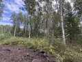 Продажа земельного участка: п. Кедровое, ул. Заповедная, 7 (городской округ Верхняя Пышма) - Фото 4