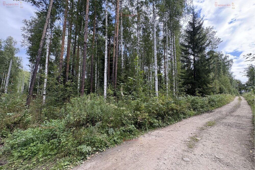 п. Кедровое, ул. Заповедная, 7 (городской округ Верхняя Пышма) - фото земельного участка (8)
