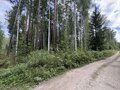 Продажа земельного участка: п. Кедровое, ул. Заповедная, 7 (городской округ Верхняя Пышма) - Фото 8