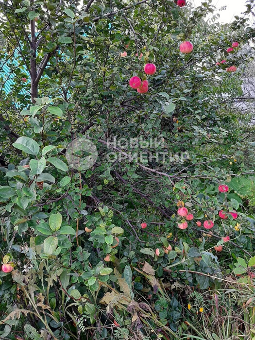 Екатеринбург, ул. Трактовая, 36 - фото дома (7)