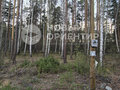 Продажа земельного участка: п. Полевой, ул. Боровая, 14 (городской округ Сысертский) - Фото 3